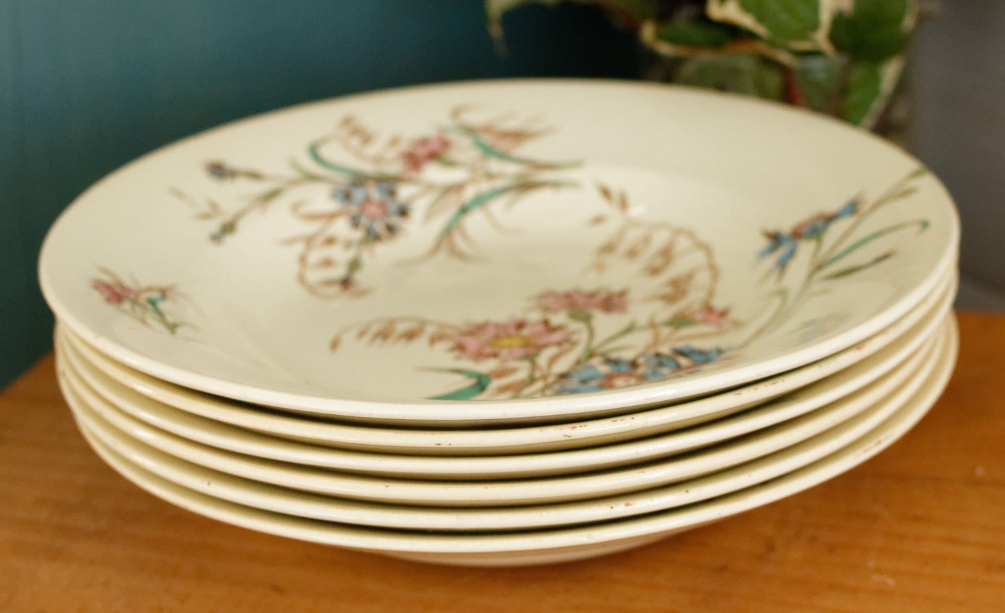 BLEUET K&G (Keller et Guérin) Lunéville French Antique Ironstone Polychrome Soup Plate Terre de Fer en Faience