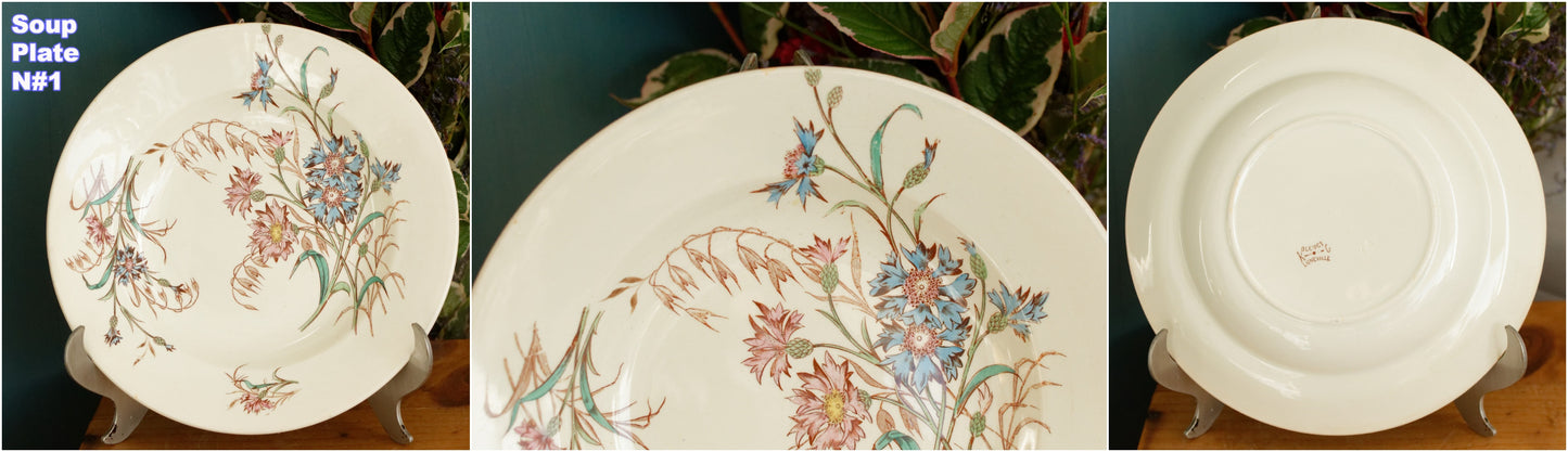 BLEUET K&G (Keller et Guérin) Lunéville French Antique Ironstone Polychrome Soup Plate Terre de Fer en Faience