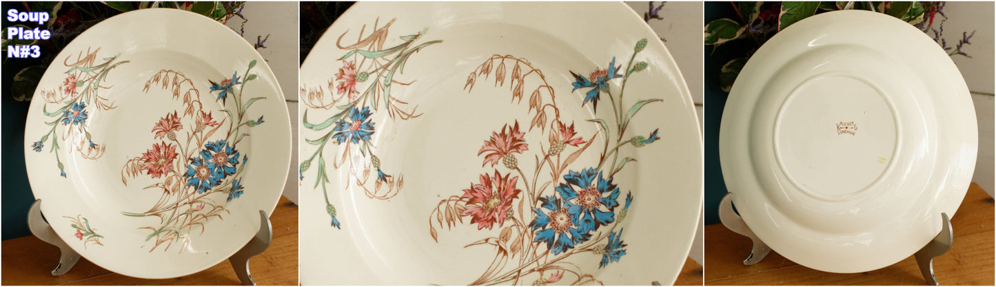 BLEUET K&G (Keller et Guérin) Lunéville French Antique Ironstone Polychrome Soup Plate Terre de Fer en Faience