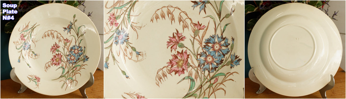 BLEUET K&G (Keller et Guérin) Lunéville French Antique Ironstone Polychrome Soup Plate Terre de Fer en Faience