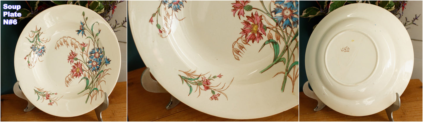 1890s/1900s ~ "BLEUET" K&G (Keller et Guérin) Lunéville ~ French Antique Ironstone Polychrome Soup Plate ~ Terre de Fer en Faience