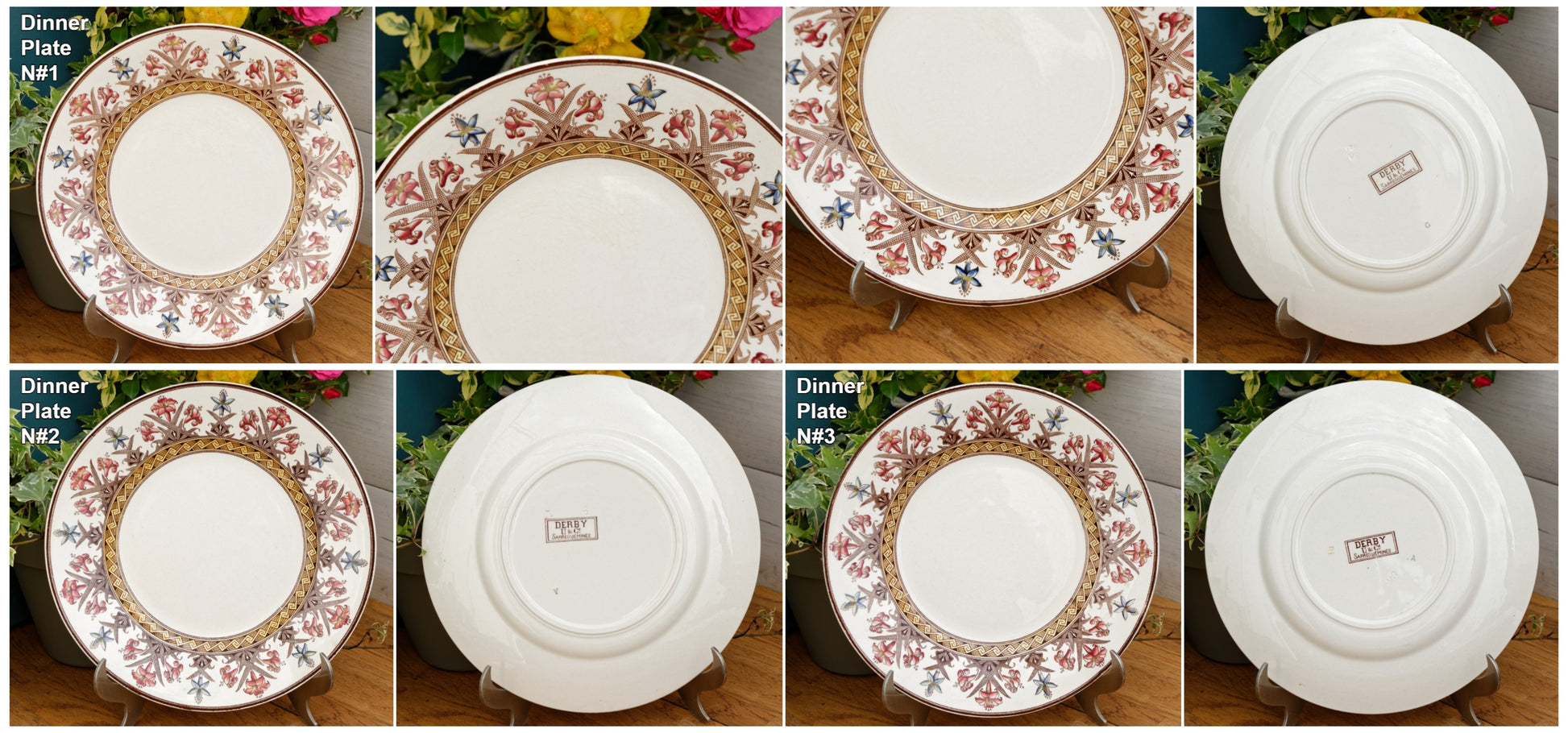 DERBY Motif Sarreguemines U&C French Antique Ironstone Polychrome Dinner Plate Terre de Fer en FAIENCE