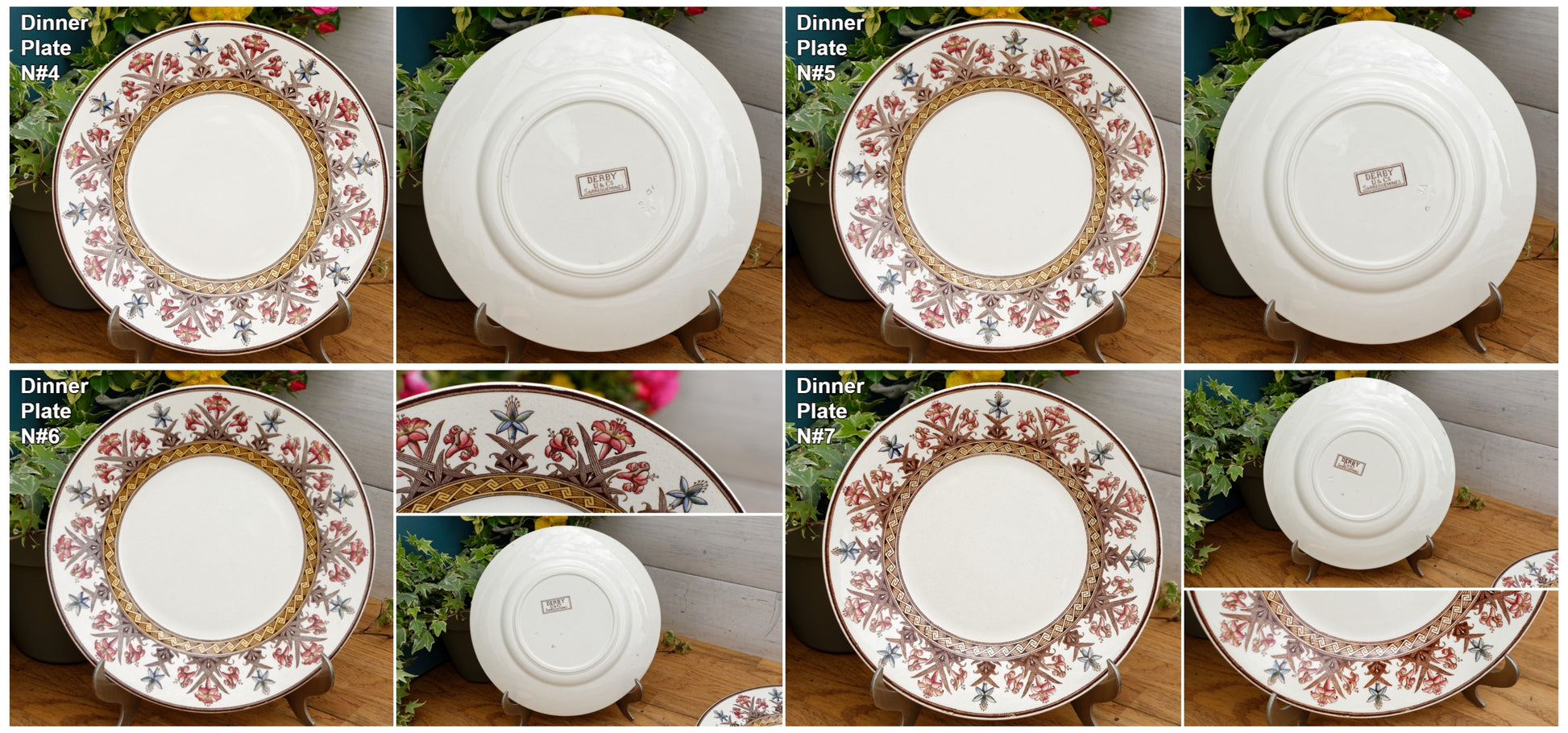 DERBY Motif Sarreguemines U&C French Antique Ironstone Polychrome Dinner Plate Terre de Fer en FAIENCE