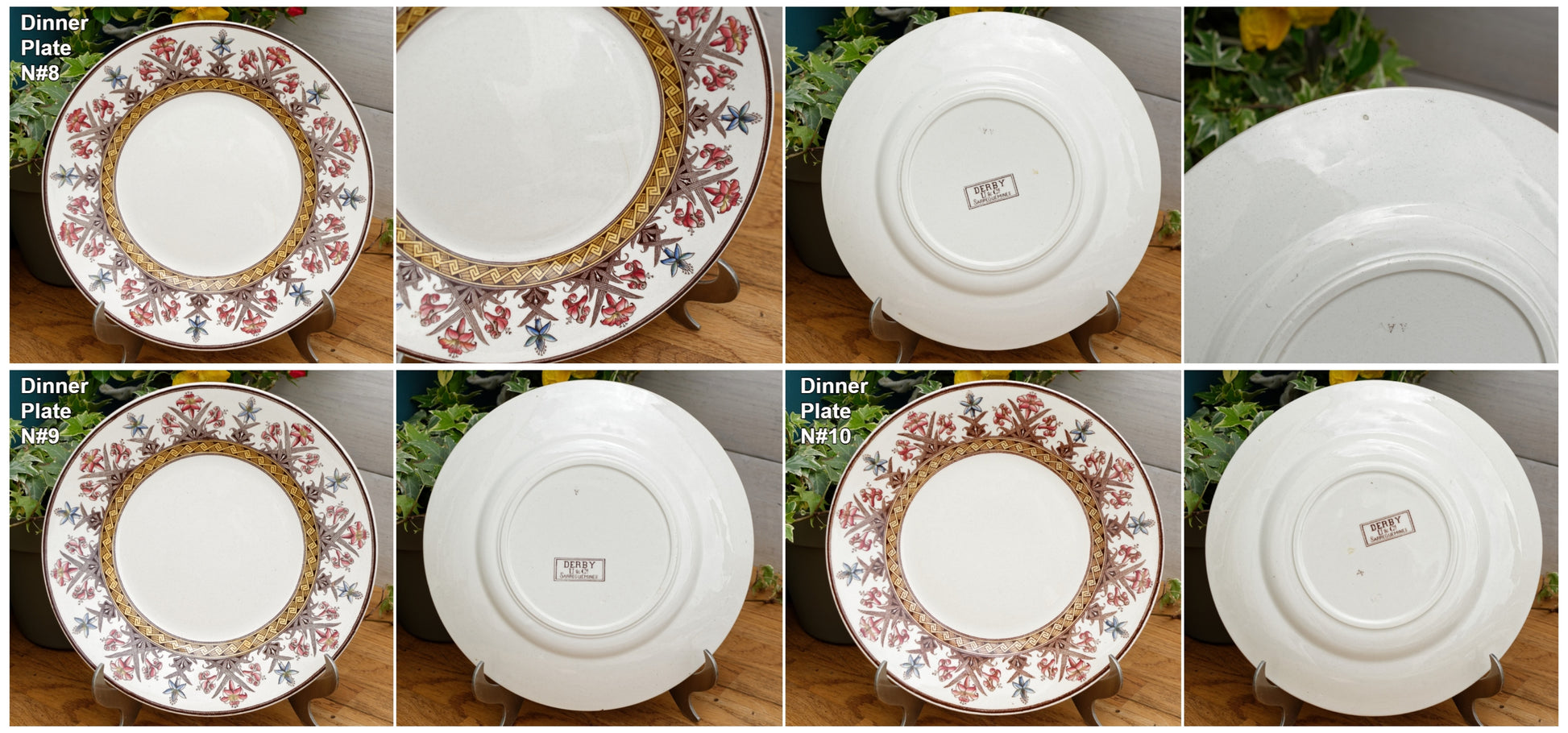 DERBY Motif Sarreguemines U&C French Antique Ironstone Polychrome Dinner Plate Terre de Fer en FAIENCE