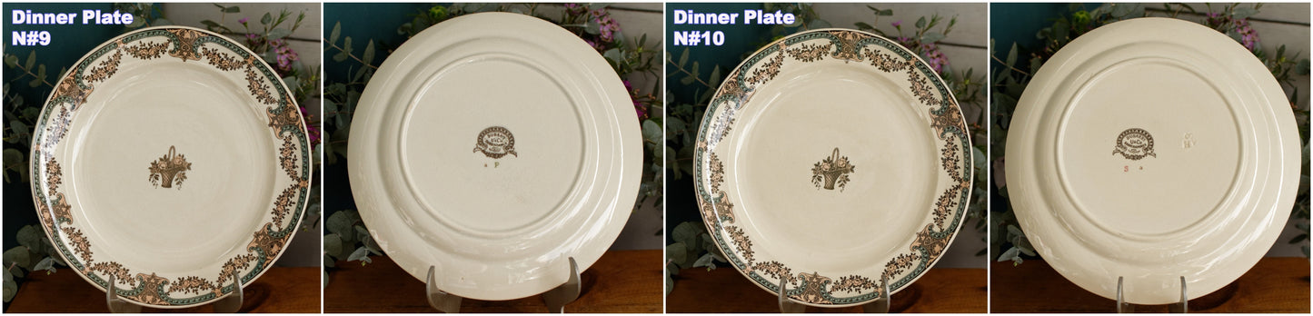 DUBARRY Sarreguemines U&C French Antique Ironstone Polychrome Dinner Plate "Assiette" Terre de Fer en Faience