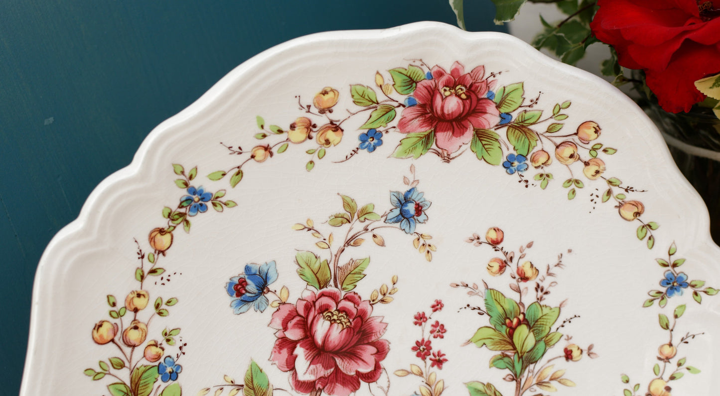 1960s ~ "EDEN" SARREGUEMINES France Decor Garanti inalterable ~ French Vintage Hand-Painted Ironstone Polychrome Serving Plate Platter or Service ~ Terre de fer en Faience