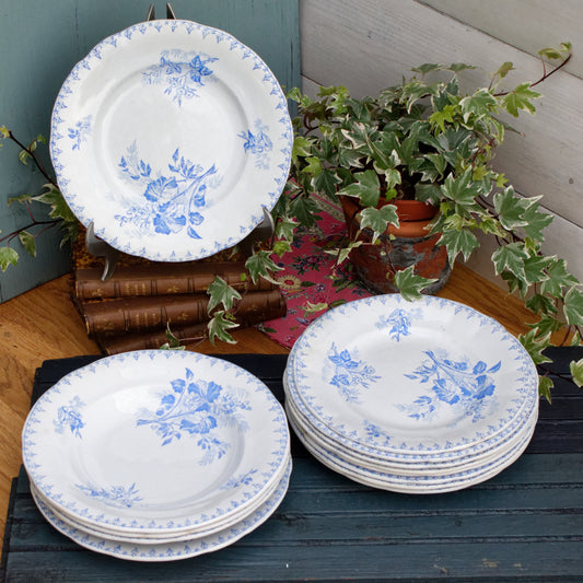 1880s/1900s ~ "FLORE" Sarreguemines U&C ~ French Antique Ironstone Light Blue Transferware Plate ~ Terre de Fer