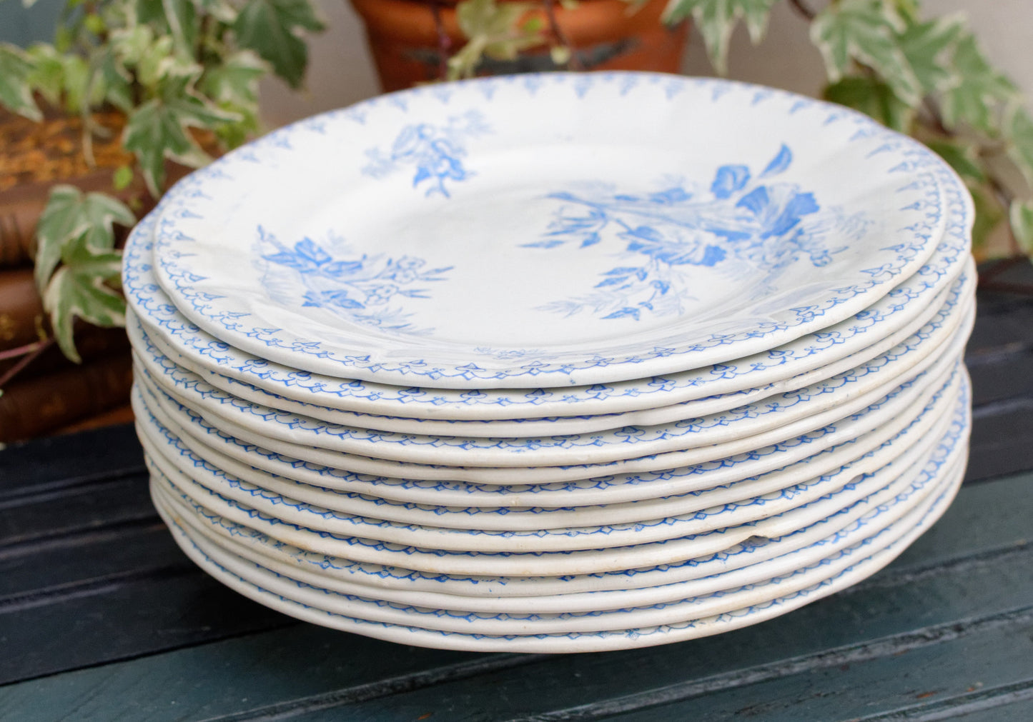 1880s/1900s ~ "FLORE" Sarreguemines U&C ~ French Antique Ironstone Light Blue Transferware Plate ~ Terre de Fer