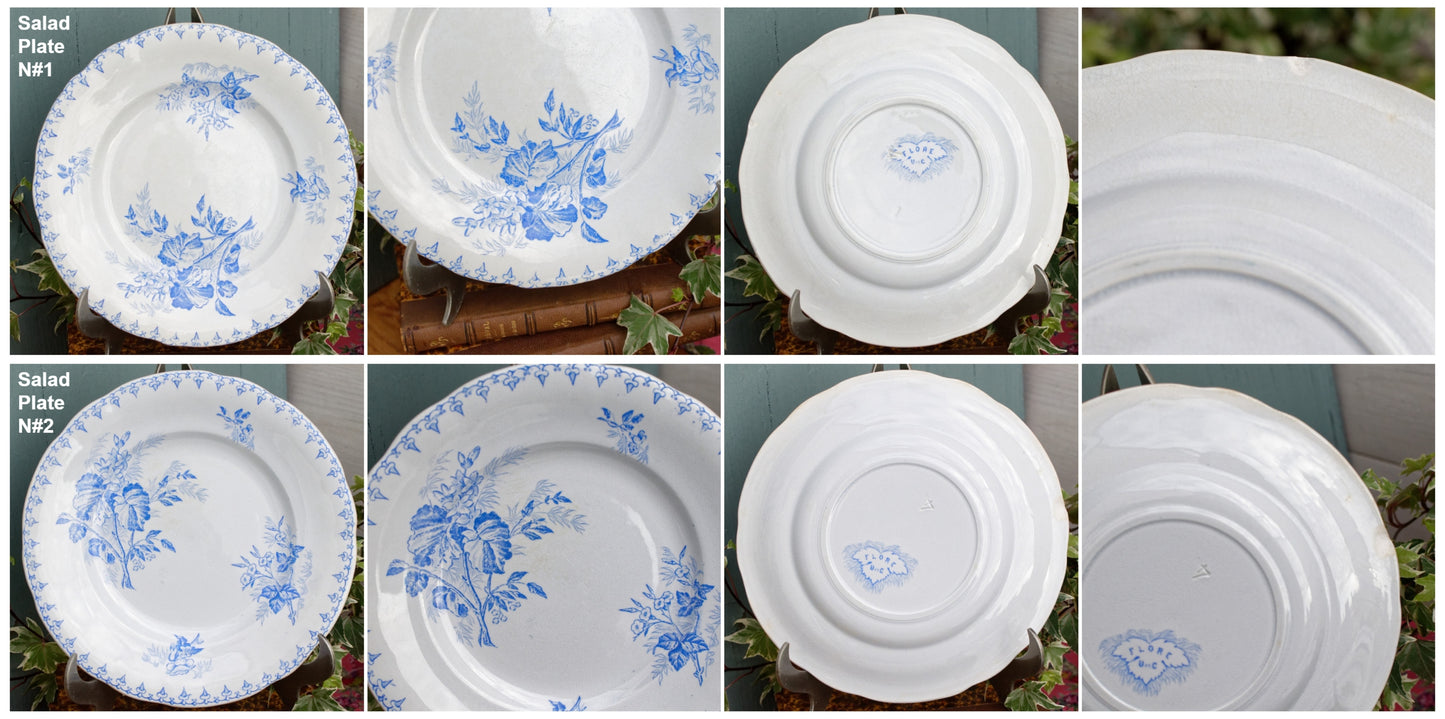 1880s/1900s ~ "FLORE" Sarreguemines U&C ~ French Antique Ironstone Light Blue Transferware Plate ~ Terre de Fer