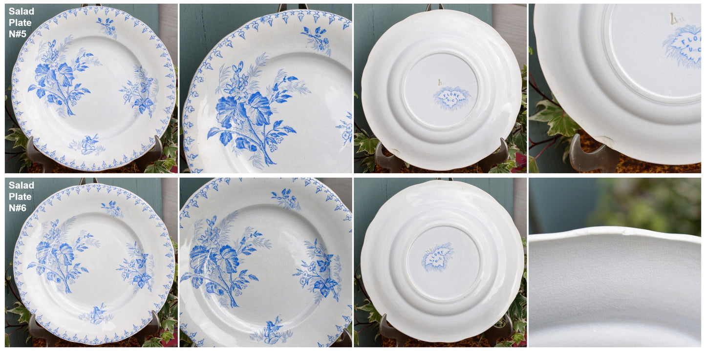 1880s/1900s ~ "FLORE" Sarreguemines U&C ~ French Antique Ironstone Light Blue Transferware Plate ~ Terre de Fer