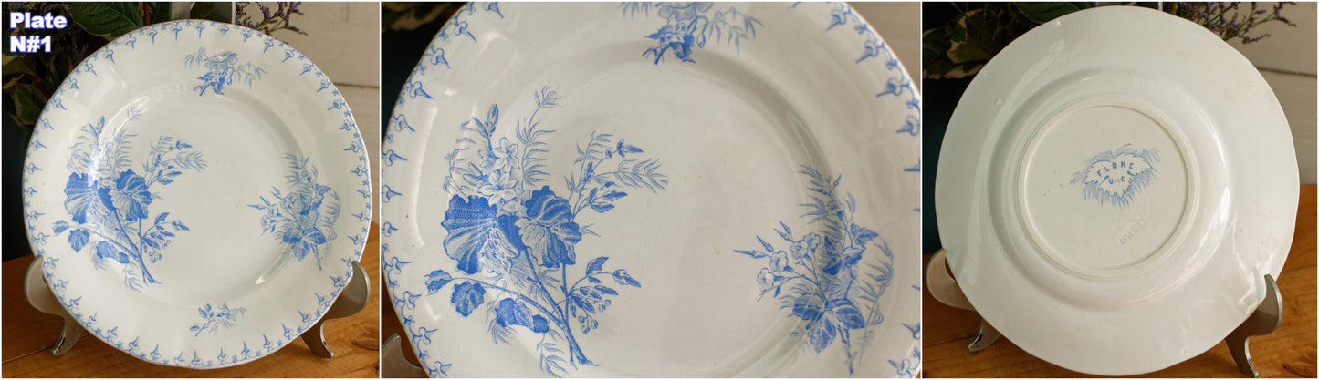 FLORE Sarreguemines U&C French Antique Ironstone Light Blue Transferware Small Plate Terre de Fer en faience