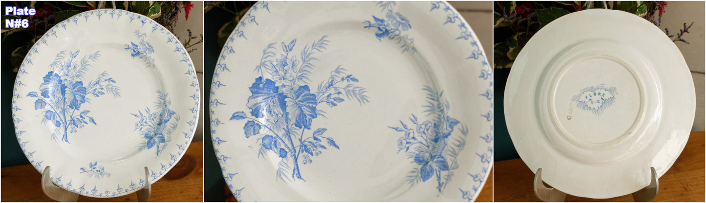 1880s/1900s ~ "FLORE" Sarreguemines U&C ~ French Antique Ironstone Light Blue Transferware Small Plate ~ Terre de Fer en faience