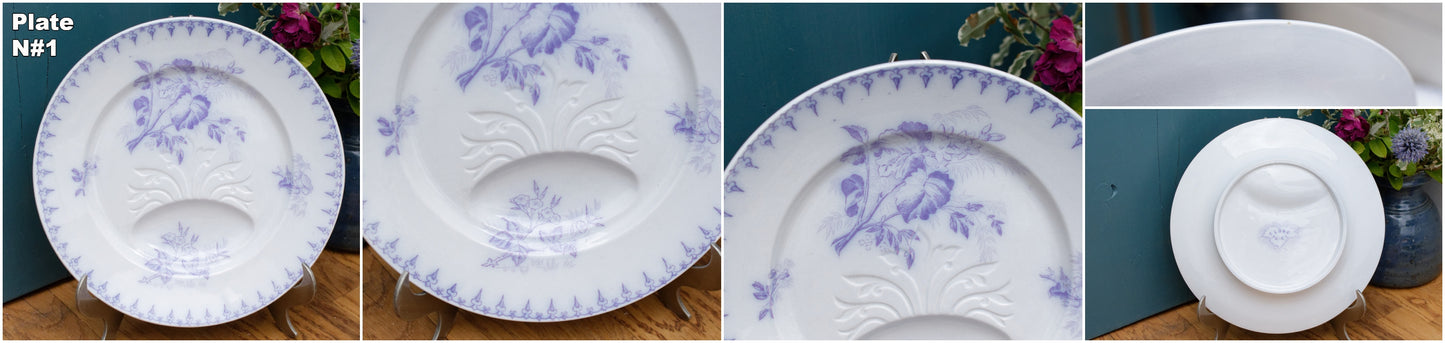 1880s/1900s ~ "Flore" Sarreguemines U&C ~ French Antique Ironstone Lavender Transferware Asparagus Plate ~ Terre de Fer