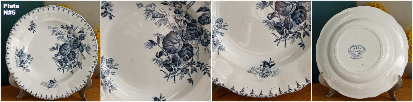1880s/1900s ~ "FLORE" Sarreguemines U&C ~ French Antique Ironstone Blue Transferware Soup Plate ~ Scalloped Edge Terre de Fer en Faience