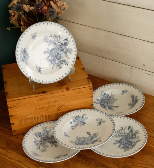 1880年代/1900年代 ~ 「FLORE」サルグミーヌ U&C ~ フランスアンティーク アイアンストーンブルー トランスファーウェア スーププレート ~ テール・ド・フェール