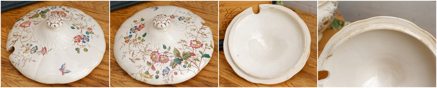 FLORIBEL Motif W.A.A. (William Alsager Adderley) & Co
Collectible English Antique Ironstone Polychrome Vegetable Dish Légumière Terre de Fer