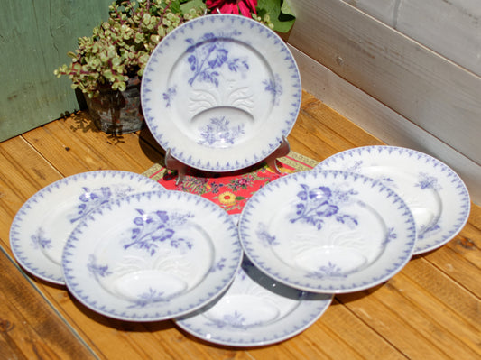 French Asparagus Plate Sarreguemines U&C FLORE Lavender TRANSFERWARE