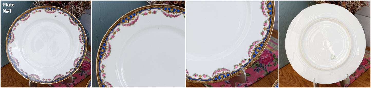 LG LIMOGES ~ French Antique Fine Porcelain China Plate