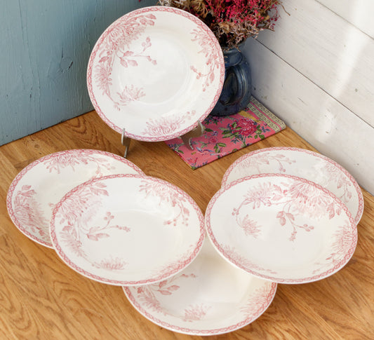 1890年代/1920年代 ~ サービス テュレンヌ ラブラドール デポーズ クレイユ エ モントリー ~ フランスアンティーク アイアンストーン レッド トランスファーウェア スーププレート ~ テール・ド・フェール