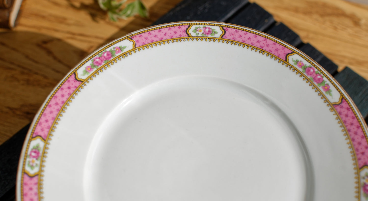 C&P LIMOGES France Cake Service ~ French Antique Fine Porcelain Serving Set Service 10 ppl