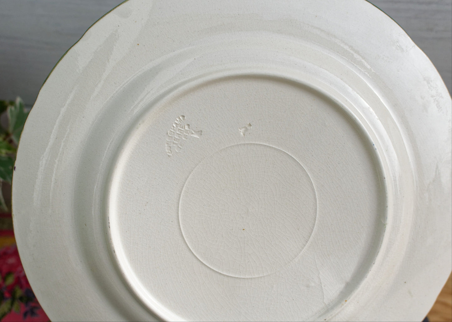 1920年代~「ヴェラール」ロンシャン~フランスアンティーク手描きアイアンストーンアスパラガスプレート~テール・ド・フェール