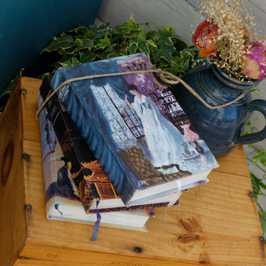 La Meilleure Bibliothèque Livre de La Femme Les Club des Amis du Livre PARIS French Vintage Hardcover Book Livre