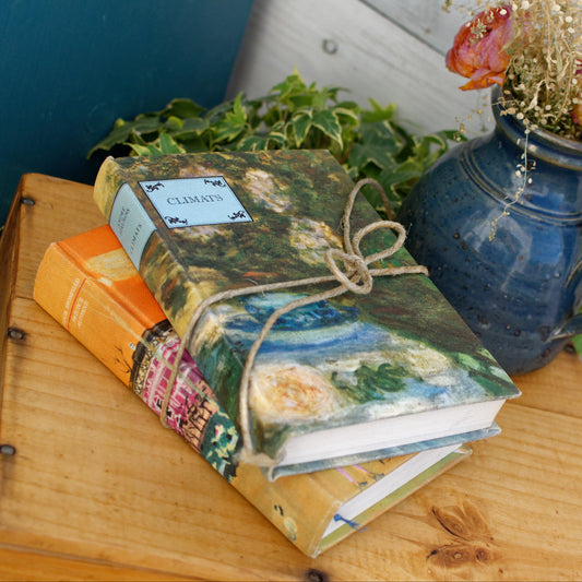 1961-69 La Meilleure Bibliothèque Livre de La Femme Les Club des Amis du Livre PARIS French Vintage Hardcover Book Livre Climats Procere automne