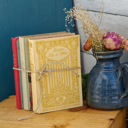 French Vintage Book Novel Livre Roman Florian Fables et Theatre JJ Grandville. Libraires Garnier Freres. Drole de Jeu by Roger VAILLARD. 858 Exemplaire N*47. Les Classique Anglais 1887 Libraires Hachette & Cie Paris.