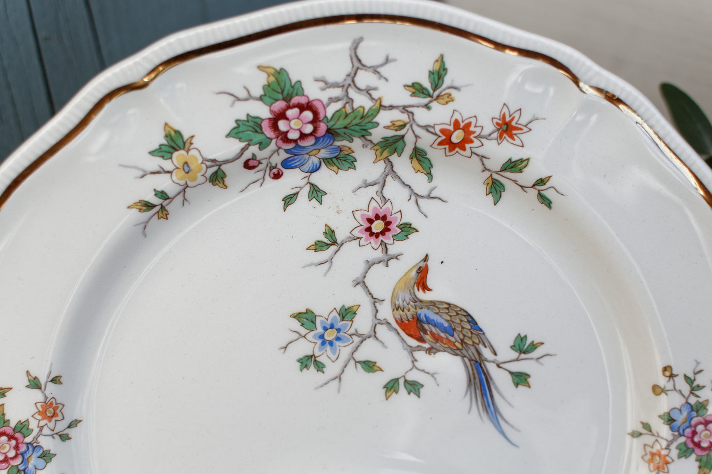 1960s ~ LONGCHAMP ~ France ~ French Vintage Ironstone Floral Asparagus Plate ~ Terre de Fer