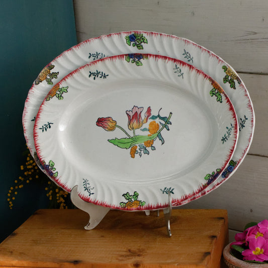 MARSEILLE LONGWY French Antique Ironstone Hand-Painted Floral Polychrome Oval Serving Plate Terre de Fer Faience