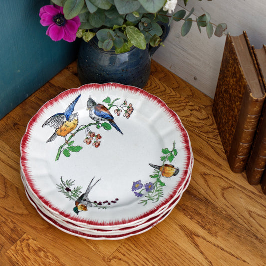 OISELETS Terre de Fer H.B. & Cie French Antique Ironstone Polychrome Plate Birdies en Faïence
