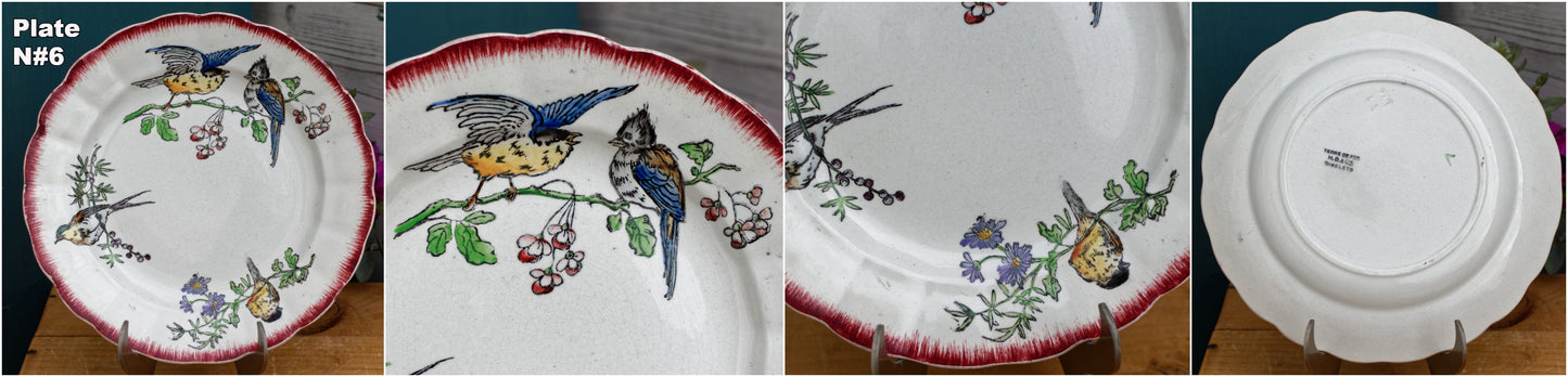 OISELETS Terre de Fer H.B. & Cie French Antique Ironstone Polychrome Plate Birdies en Faïence