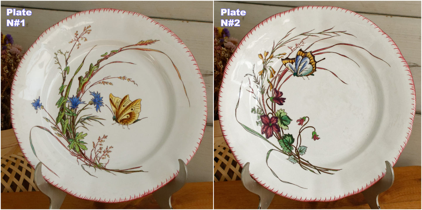 PAPILLON Sarreguemines U&C French Antique Ironstone Polychrome Dinner Plate Terre de Fer Faience Butterfly
