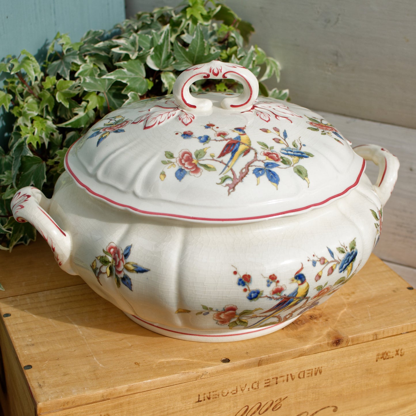 1950s ~ "PHOENIX" VILLEROY & BOCH ~ French German Vintage Floral Ironstone Soup Tureen "Soupiere" ~ Terre de Fer