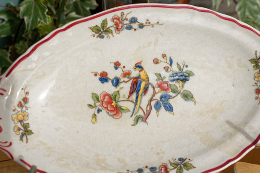 1950s ~ "PHOENIX" VILLEROY & BOCH ~ French German Vintage Floral Ironstone Small Oval Serving Plate "Ravier"~ Terre de Fer