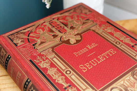 1899 SEULETTE by Piere Mael HACHETTE et Cie French Antique Collectible First Edition Illustrated Polychrome Hardcover Book Novel Gilded Cartonnage Livre