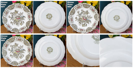 WINDSOR" Ridgway of STAFFORDSHIRE England 1792 ~ English Vintage Ironstone Porcelain Plate LOT 2