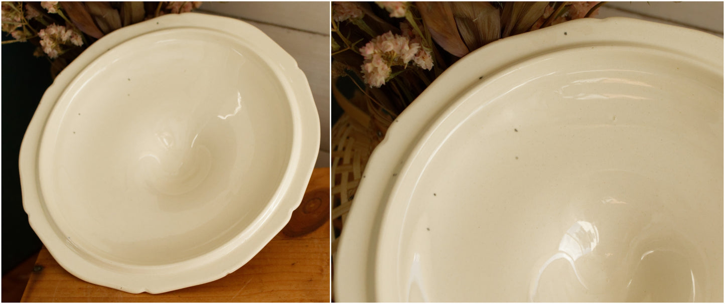 1950s ~ ST AMAND Ste des Etablissement de Ceramique ~ French Vintage Hand-Painted Ironstone Polychrome Soup Tureen "Soupiere" ~ Terre de fer