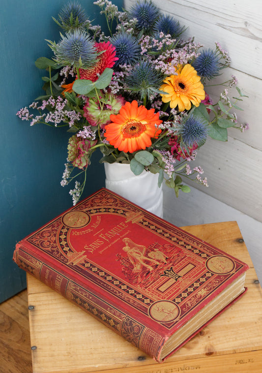 1880 Sans Famille (couronne pas l’académie Français) Hector Malot French Antique Collectible Gilded Cartonnage Book Novel Livre Roman