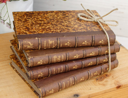 French Antique Hardcover Leather Bound Brown Book Novel "Livre Roman". Histoires de Village Alexandre WEILL. La Reine des Epees Paul FEVAL. Histoire d'un Bouton Piotre ARTAMOV. Perdue et Retrouvee Ernest SERRET