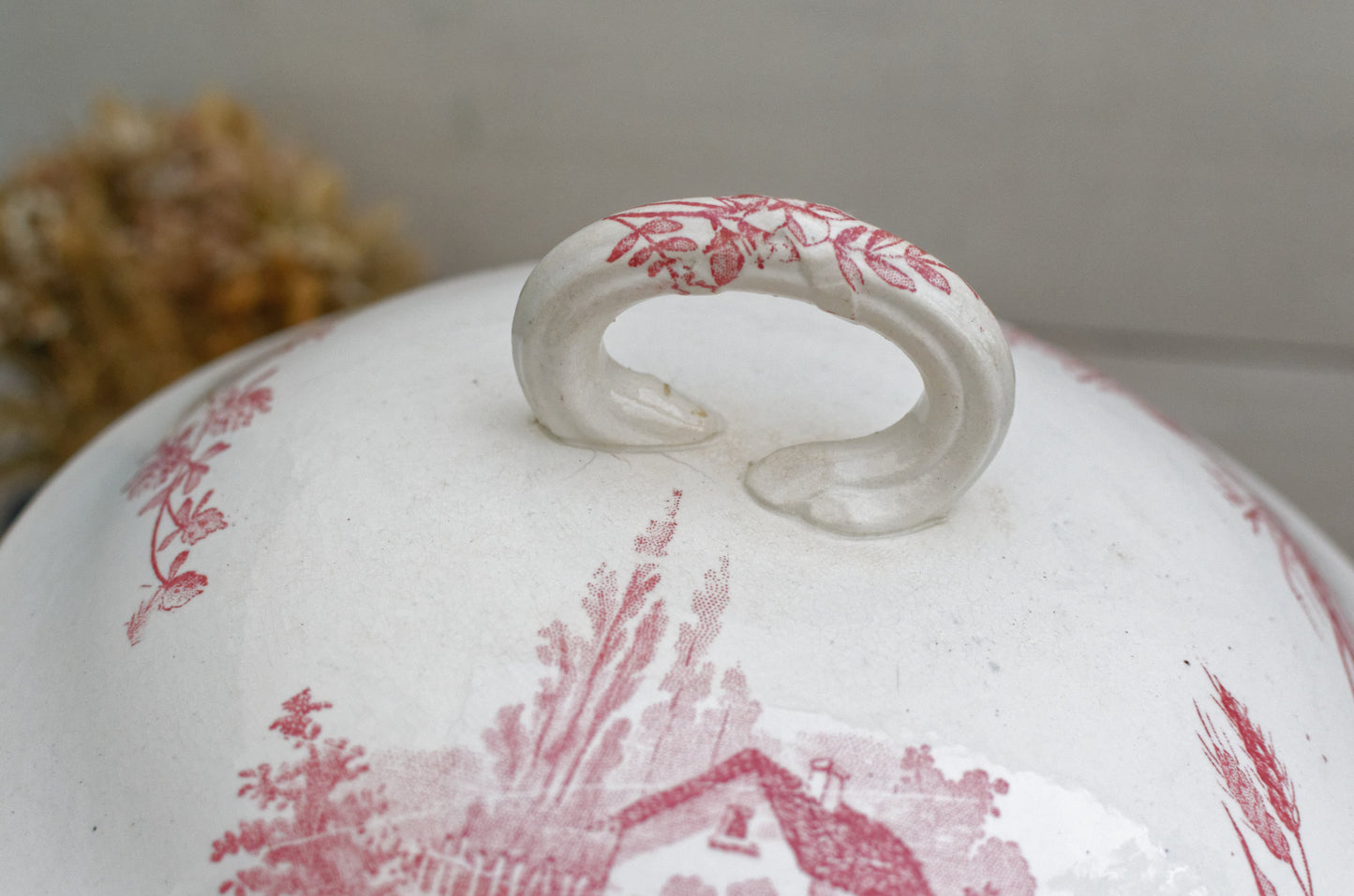 French Ironstone Red Transferware Soup Tureen Soupiere & Serving Plate Champetre FF (Fenal Frères) PEXONNE Terre de Fer
