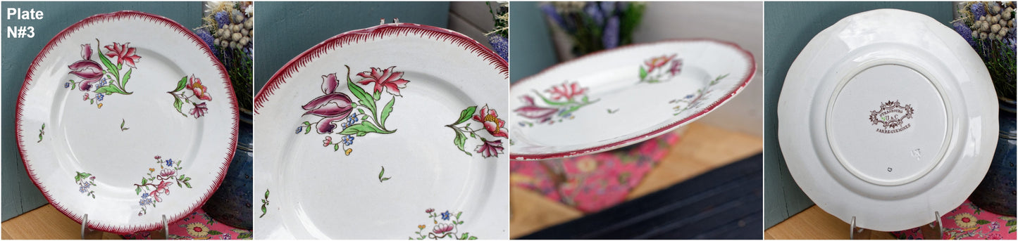 1900年代~「ストラスブール」サルグミーヌ~フランスアンティーク手描きアイアンストーンサラダプレート~テール・ド・フェール