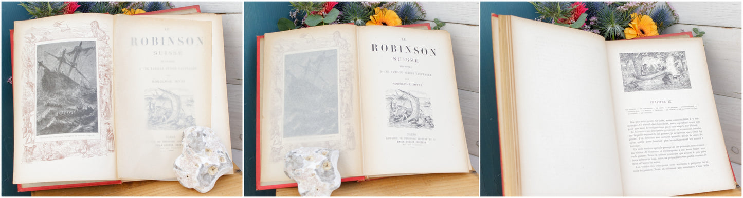 1902 Le Robinson Suisse – Histoire D’une famille Suisse Naufragee French Antique Collectible Gilded Cartonnage Book Novel Livre Roman
