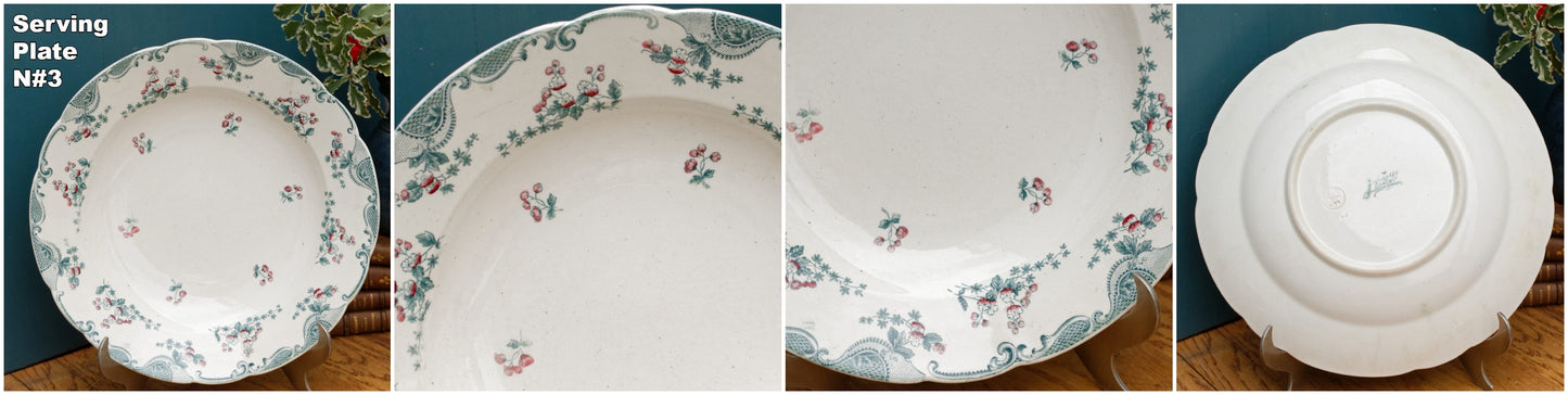 Années 1890 ~ « NIELLES » LONGWY ~ Français Assiette à dîner polychrome florale antique en pierre de fer ~ Terre de Fer