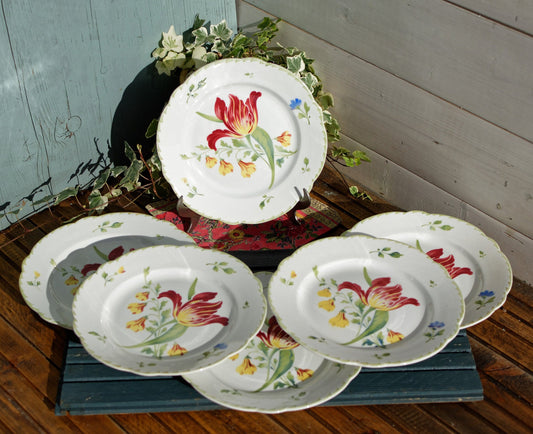 1880年代/1900年代~「TULIPE」 K&G(ケラー・エ・ゲラン) リュネヴィル~フランスアンティークアイアンストーンディナープレート~テール・ド・フェール