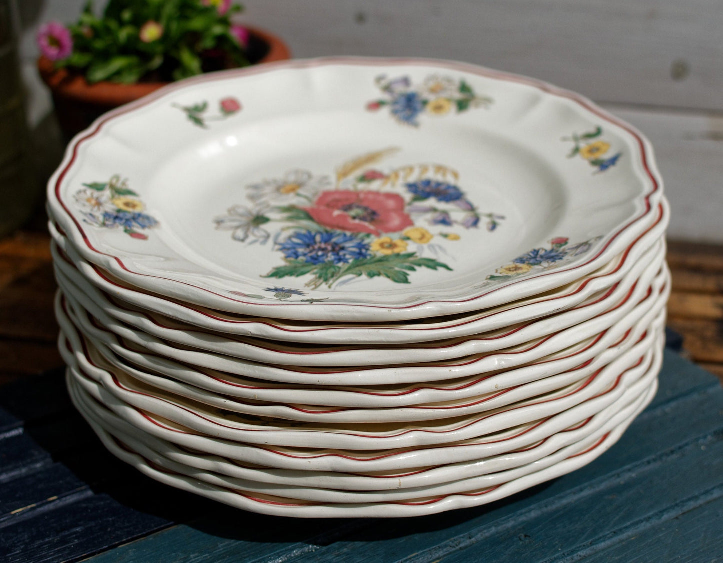 French Ironstone Plate Sarreguemines DIGOIN Agreste terre de fer