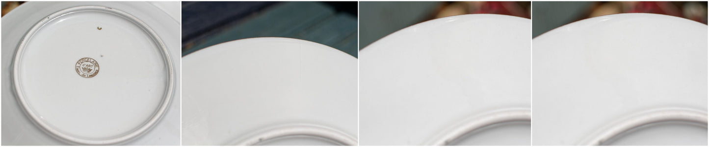 French Fine Porcelain Dinner Plate Porcelaine D’Art Email de Limoges France