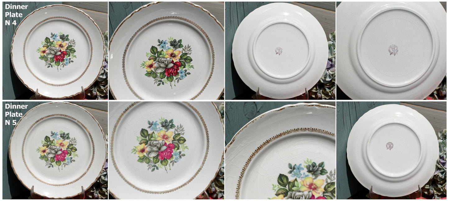 French Ironstone Plate ORCHIES Moulin des Loups NORD France Terre de Fer