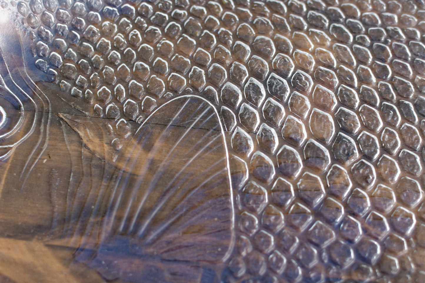 French Vintage Clear Transparent Glass Fish Shaped Embossed Plate ARCOROC France