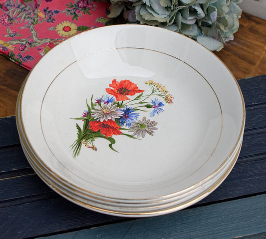 French Ironstone Bowl ORCHIES Moulin des Loups NORD France Terre de Fer